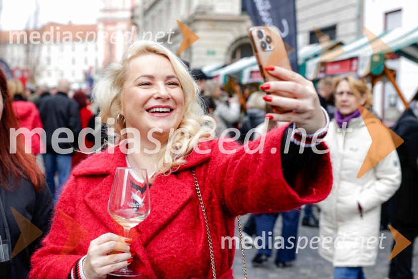 Ljubljanska vinska pot - Martinovanje 2025, Ljubljana