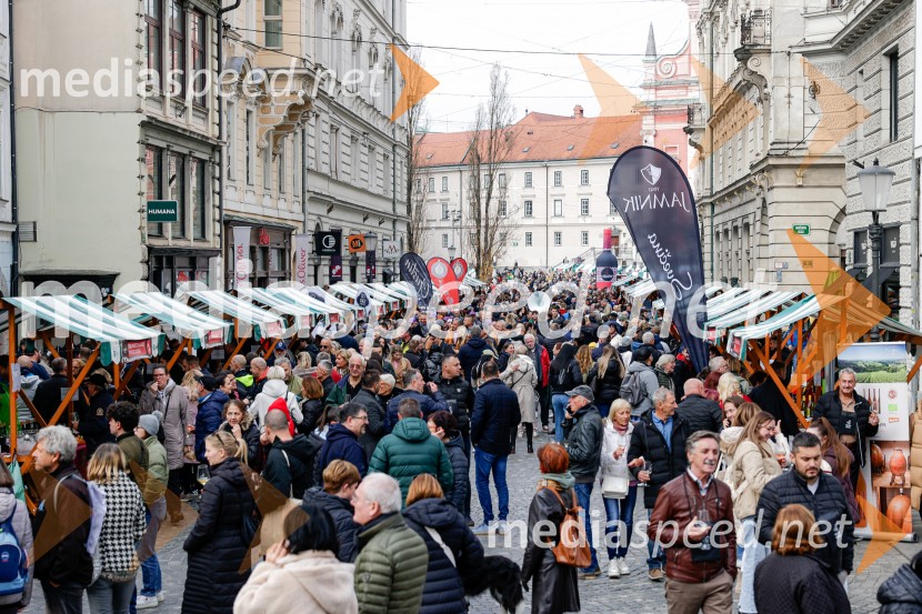 Ljubljanska vinska pot - Martinovanje 2025, Ljubljana