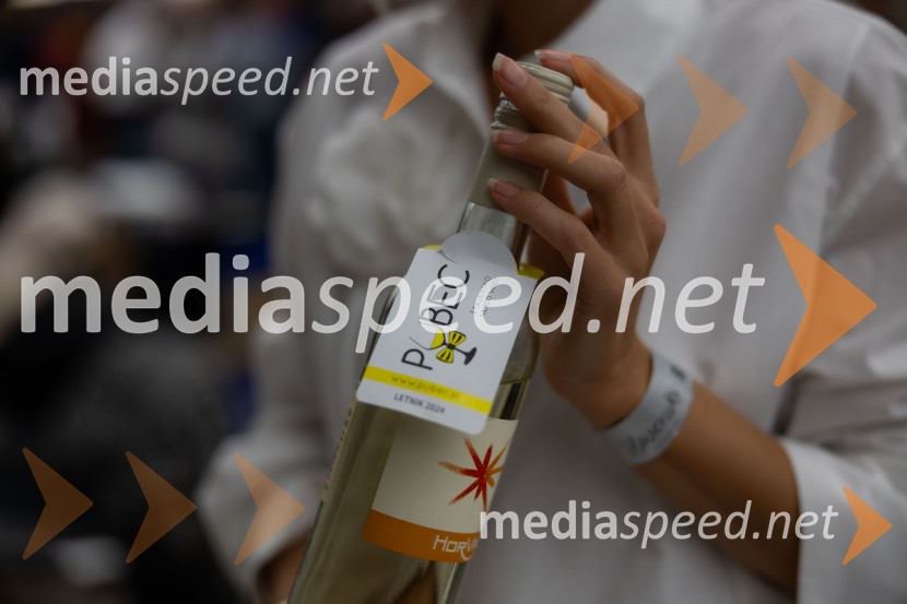 Prihaja 27. Slovenski festival vin!