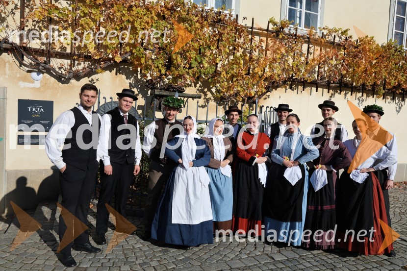 Martinovanje 2025, Maribor