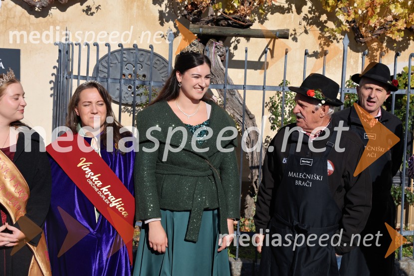 Martinovanje 2025, Maribor