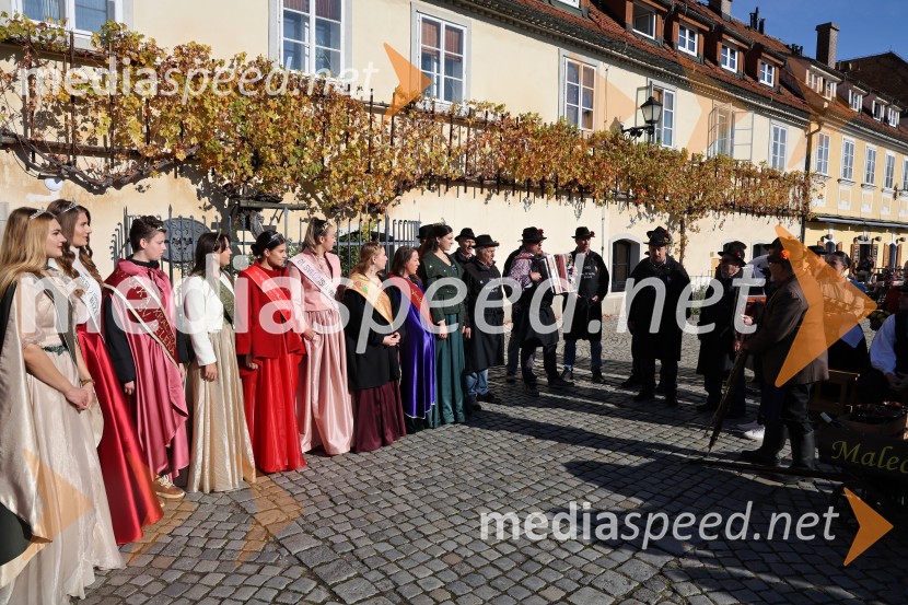 Martinovanje 2025, Maribor