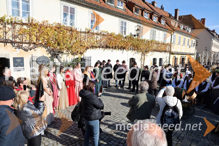 Martinovanje 2025, Maribor