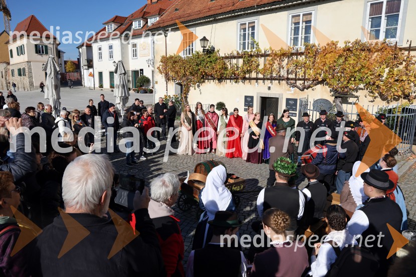 Martinovanje 2025, Maribor