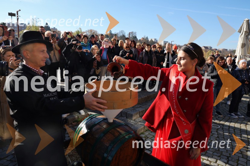 Martinovanje 2025, Maribor