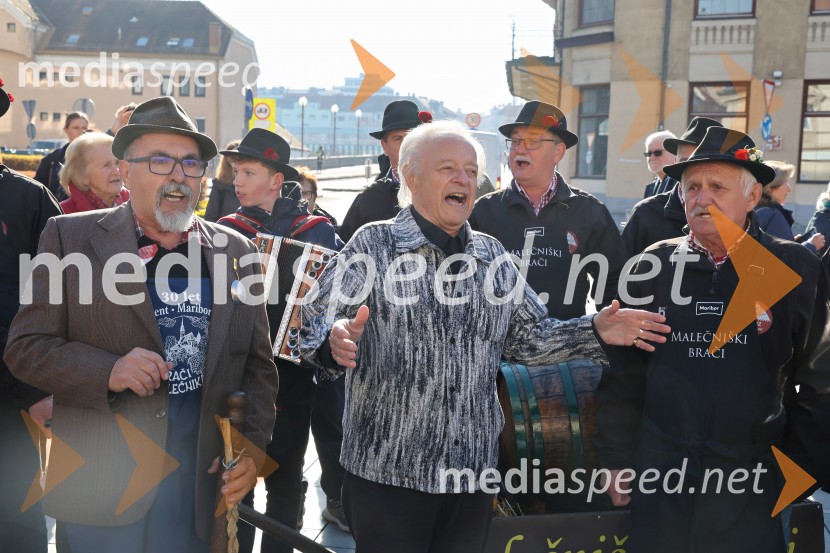 Martinovanje 2025, Maribor