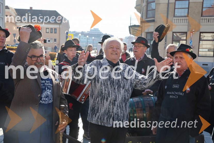 Martinovanje 2025, Maribor