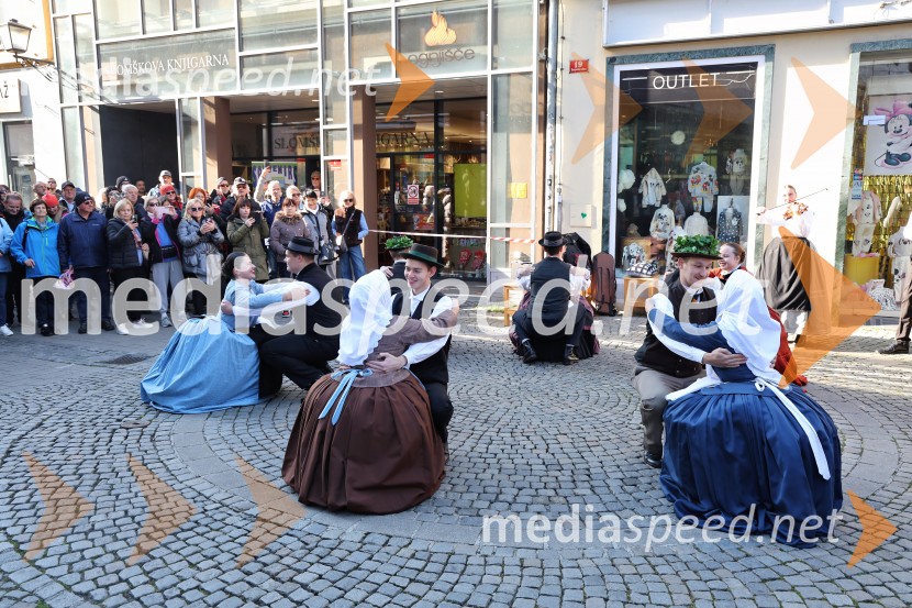 Martinovanje 2025, Maribor