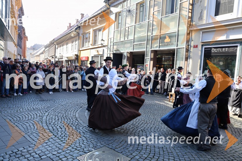 Martinovanje 2025, Maribor