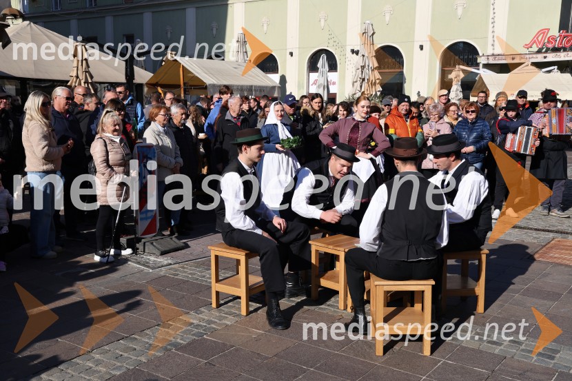 Martinovanje 2025, Maribor