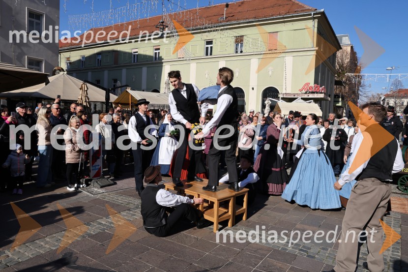 Martinovanje 2025, Maribor