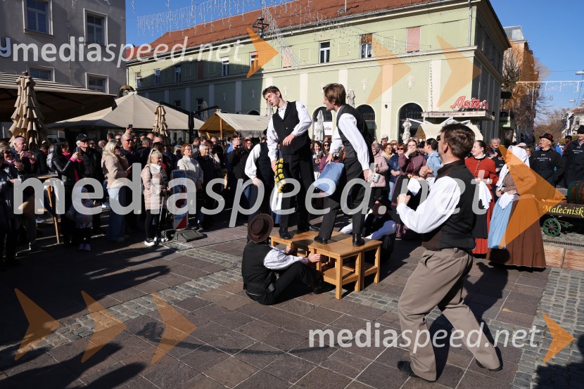 Martinovanje 2025, Maribor