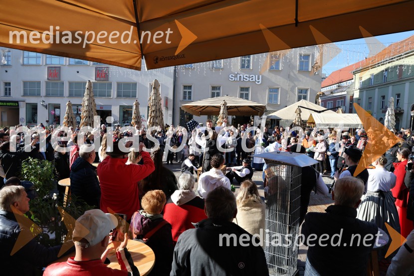 Martinovanje 2025, Maribor