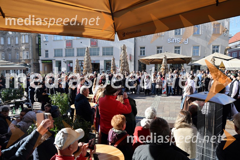 Martinovanje 2025, Maribor