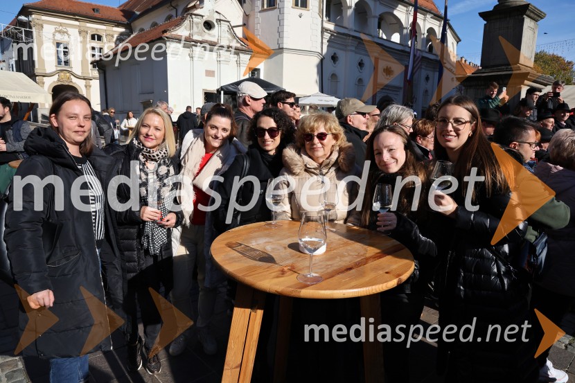 Martinovanje 2025, Maribor