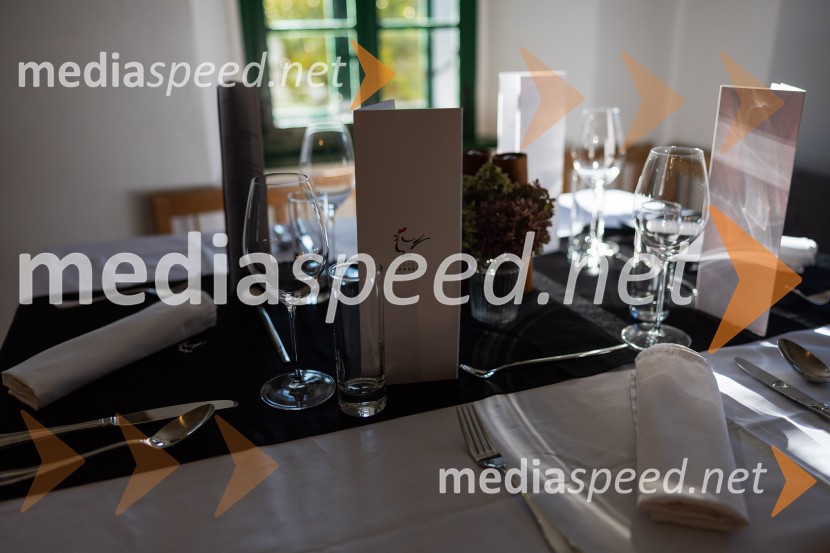 Slovenski konzularni zbor na Škrabčevi domačiji