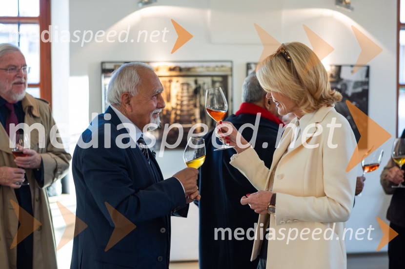 Slovenski konzularni zbor na Škrabčevi domačiji