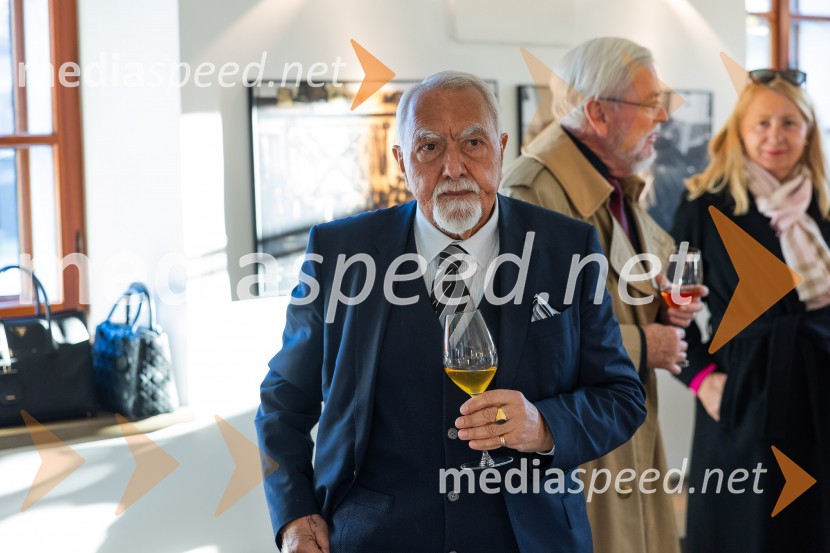 Slovenski konzularni zbor na Škrabčevi domačiji