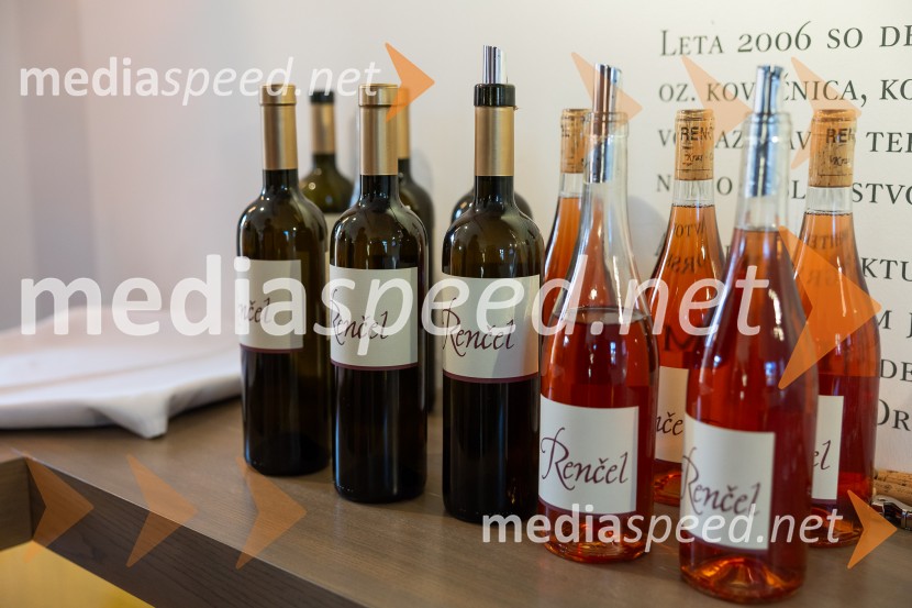 Slovenski konzularni zbor na Škrabčevi domačiji