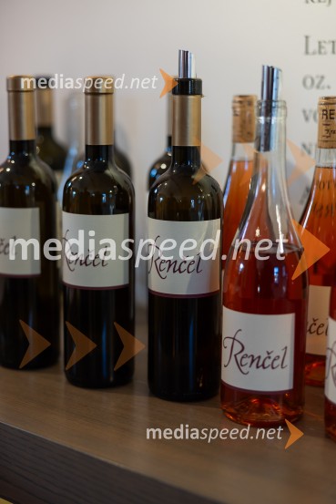 Slovenski konzularni zbor na Škrabčevi domačiji