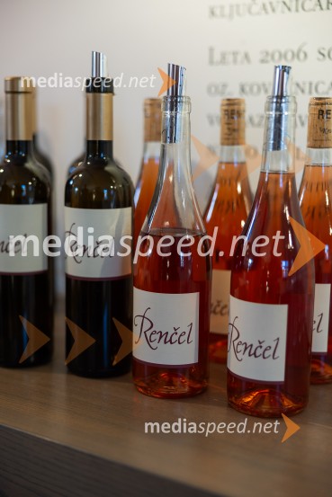 Slovenski konzularni zbor na Škrabčevi domačiji