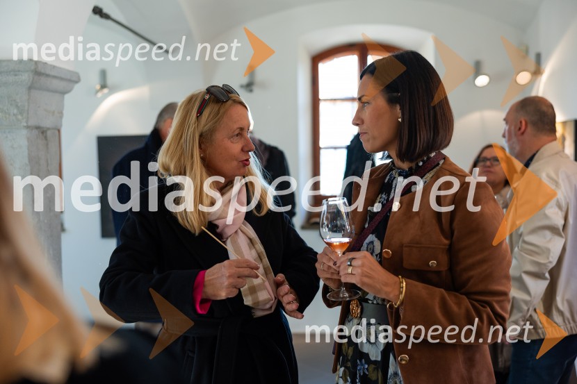 Slovenski konzularni zbor na Škrabčevi domačiji