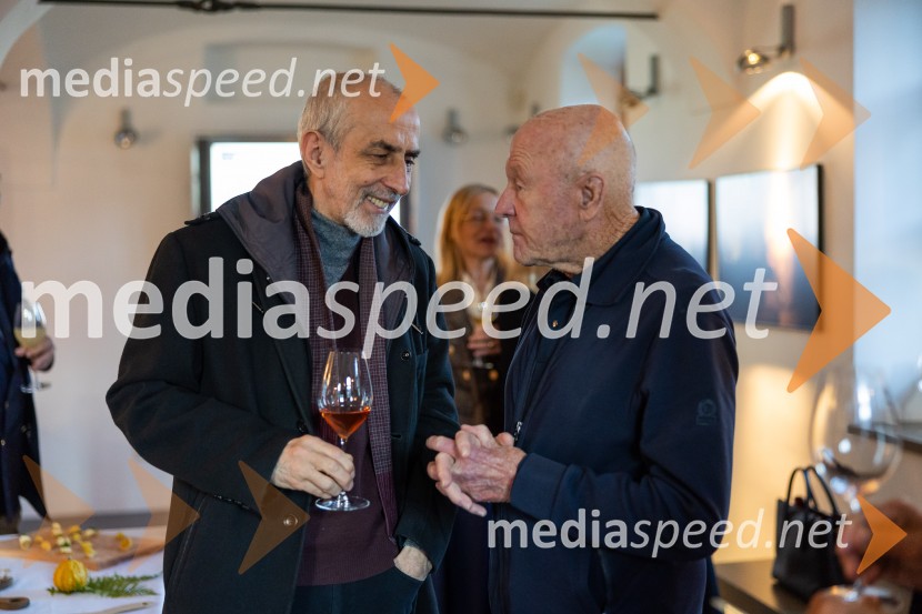 Slovenski konzularni zbor na Škrabčevi domačiji