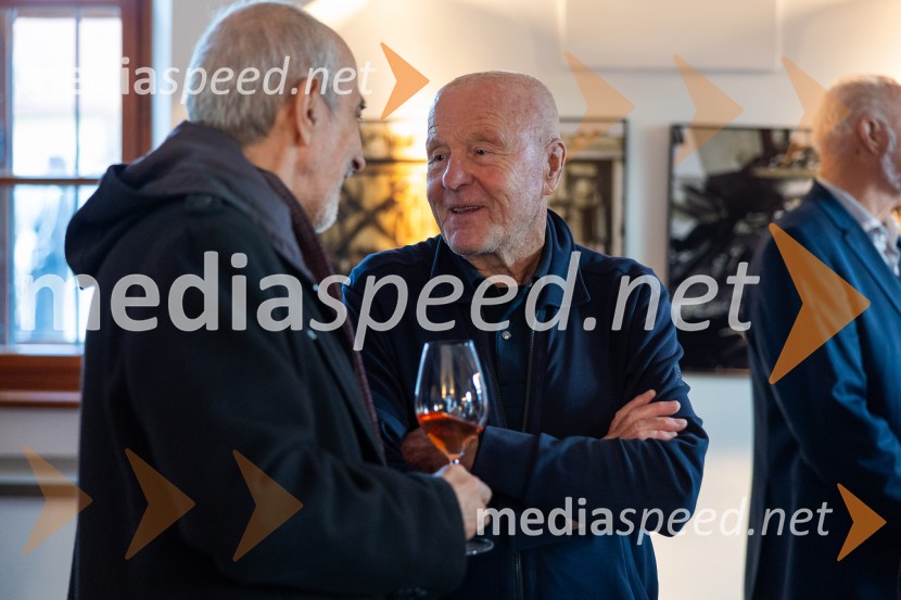 Slovenski konzularni zbor na Škrabčevi domačiji