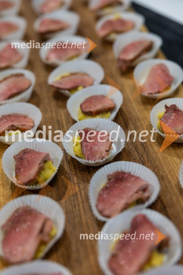 Slovenski konzularni zbor na Škrabčevi domačiji