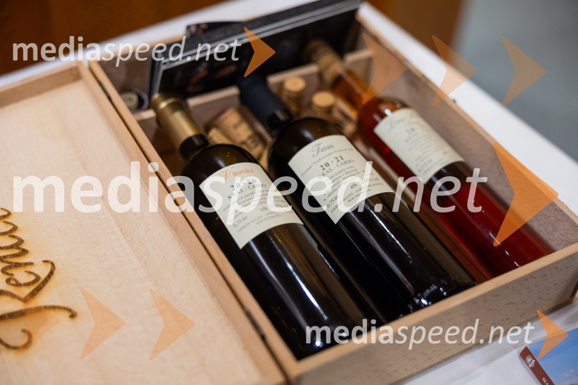 Slovenski konzularni zbor na Škrabčevi domačiji