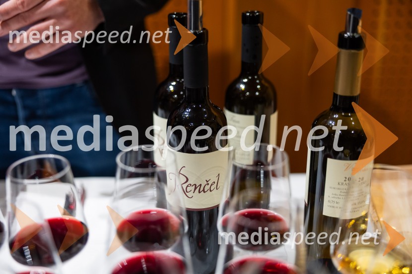 Slovenski konzularni zbor na Škrabčevi domačiji