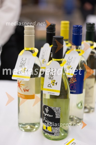 Slovenski festival vin 2025