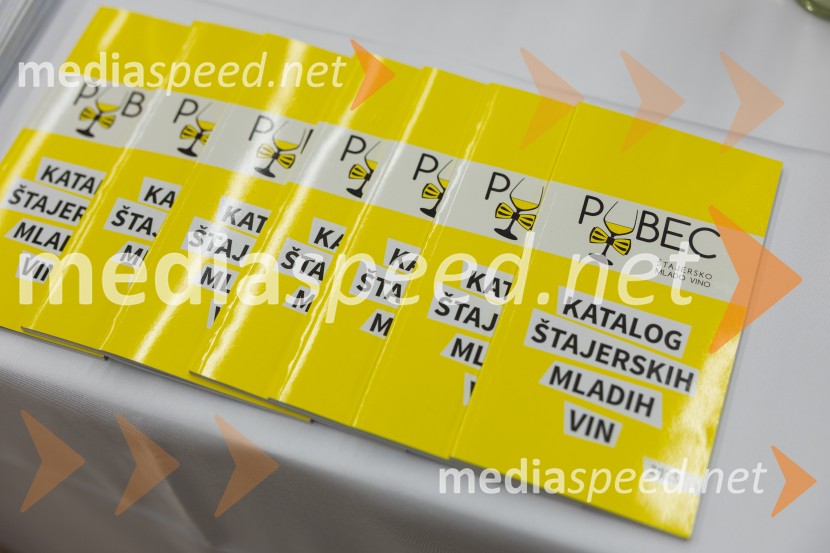 Slovenski festival vin 2025