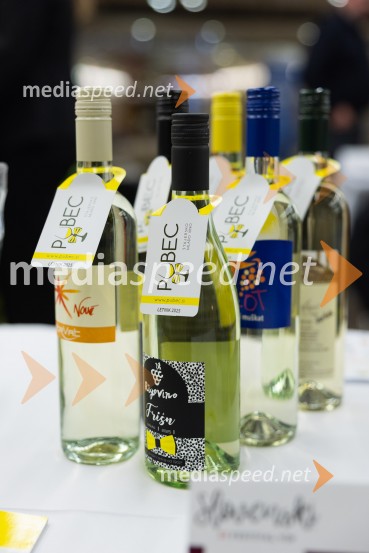 Slovenski festival vin 2025