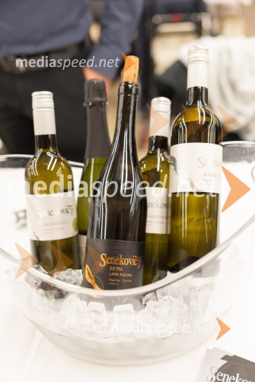 Slovenski festival vin 2025