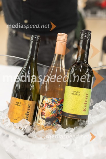 Slovenski festival vin 2025