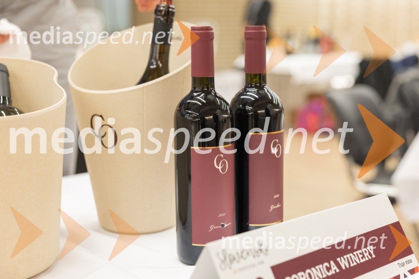 Slovenski festival vin 2025