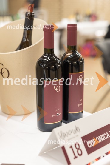 Slovenski festival vin 2025