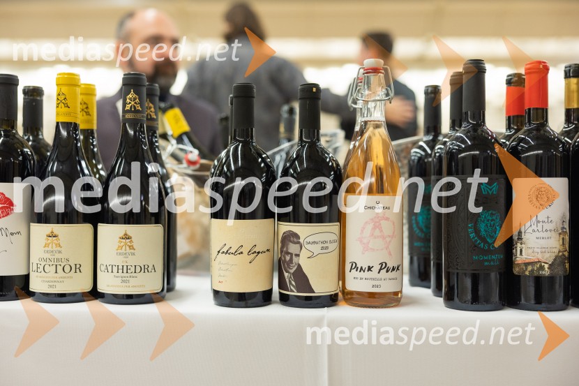 Slovenski festival vin 2025