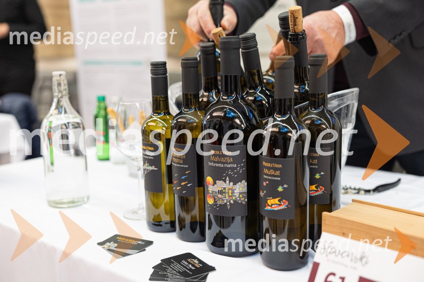 Slovenski festival vin 2025