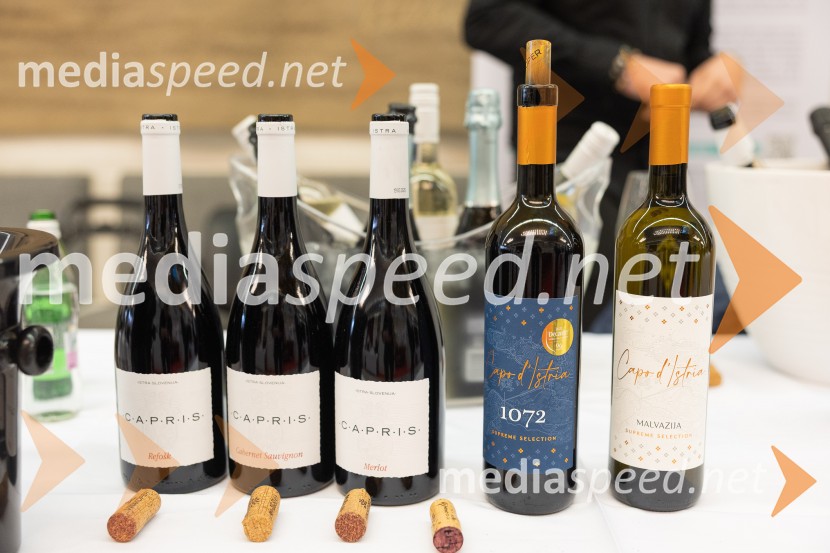 Slovenski festival vin 2025