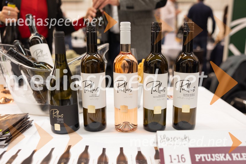 Slovenski festival vin 2025