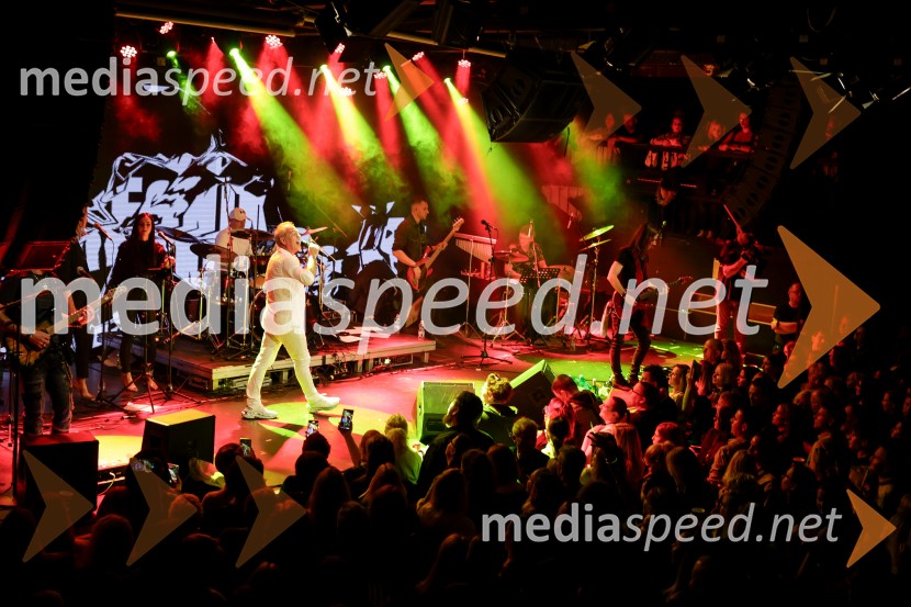 VIli Resnik s prijatelji - 30 let glasbene kariere