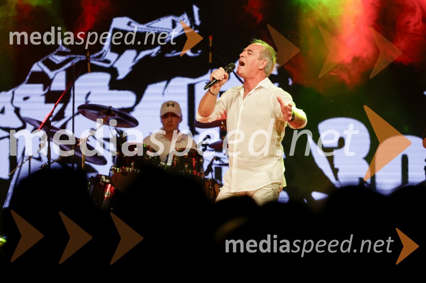 VIli Resnik s prijatelji - 30 let glasbene kariere