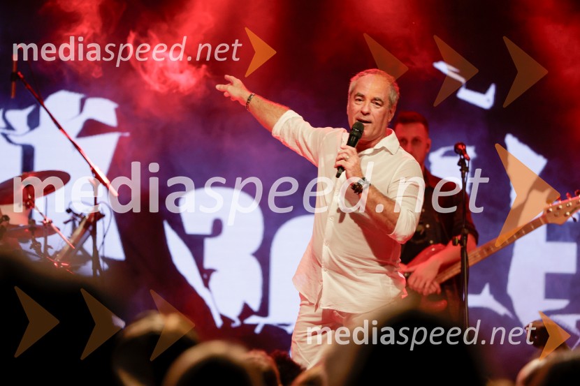 VIli Resnik s prijatelji - 30 let glasbene kariere