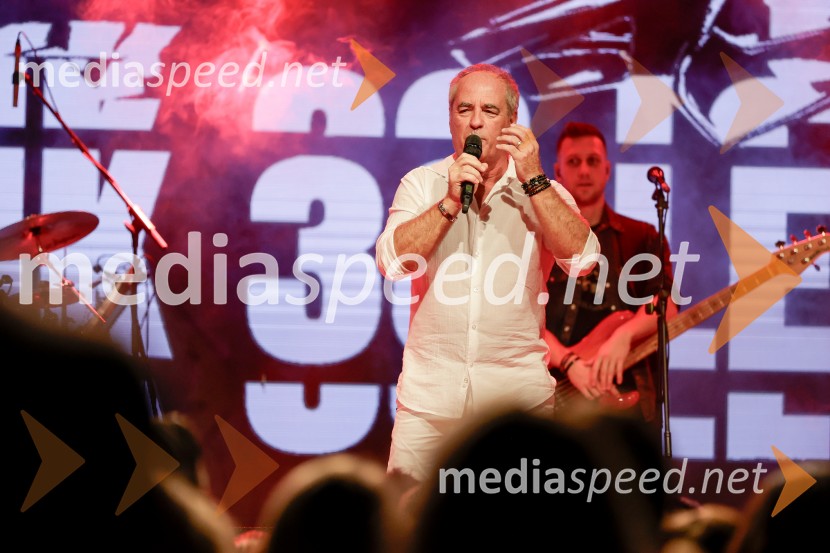 VIli Resnik s prijatelji - 30 let glasbene kariere