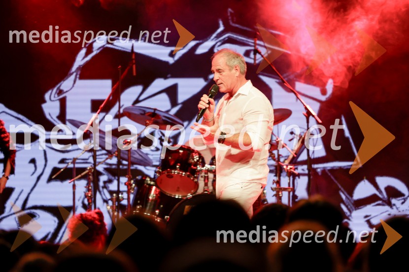 VIli Resnik s prijatelji - 30 let glasbene kariere