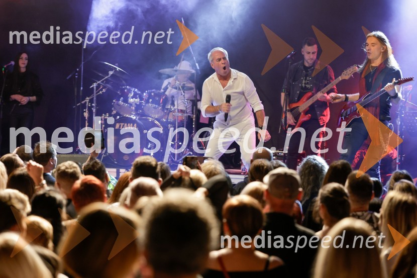 VIli Resnik s prijatelji - 30 let glasbene kariere