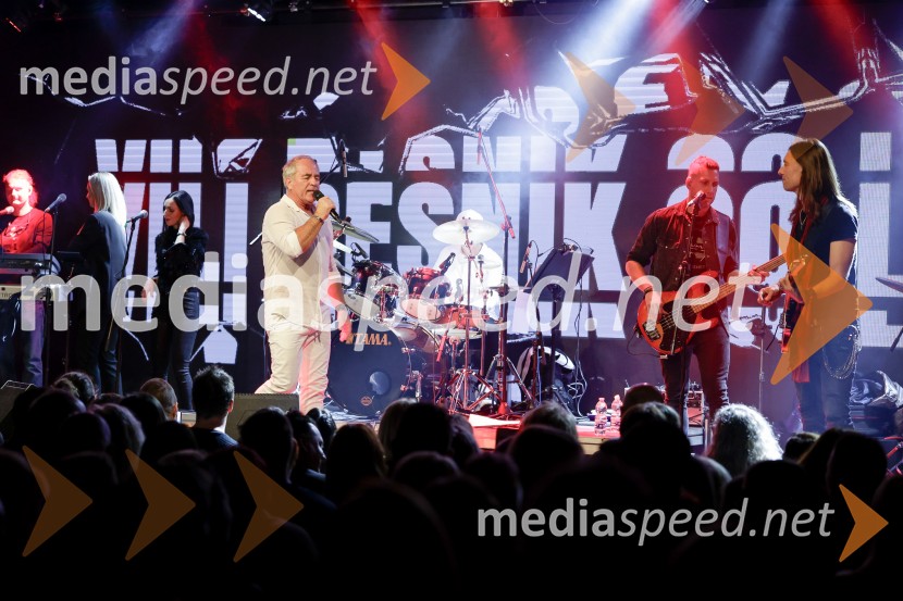 VIli Resnik s prijatelji - 30 let glasbene kariere