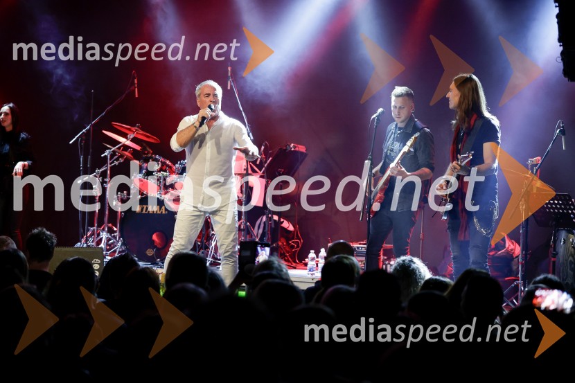 VIli Resnik s prijatelji - 30 let glasbene kariere